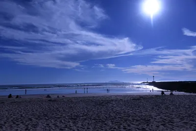 DSC_0845 (Large).JPG